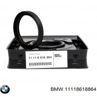 BMW 1-5 Seriya F20/F21/F22/F30/F32/F36/F10 (2012-2020), N20 Mühərrik Salnik, BWM Group, 11118618864